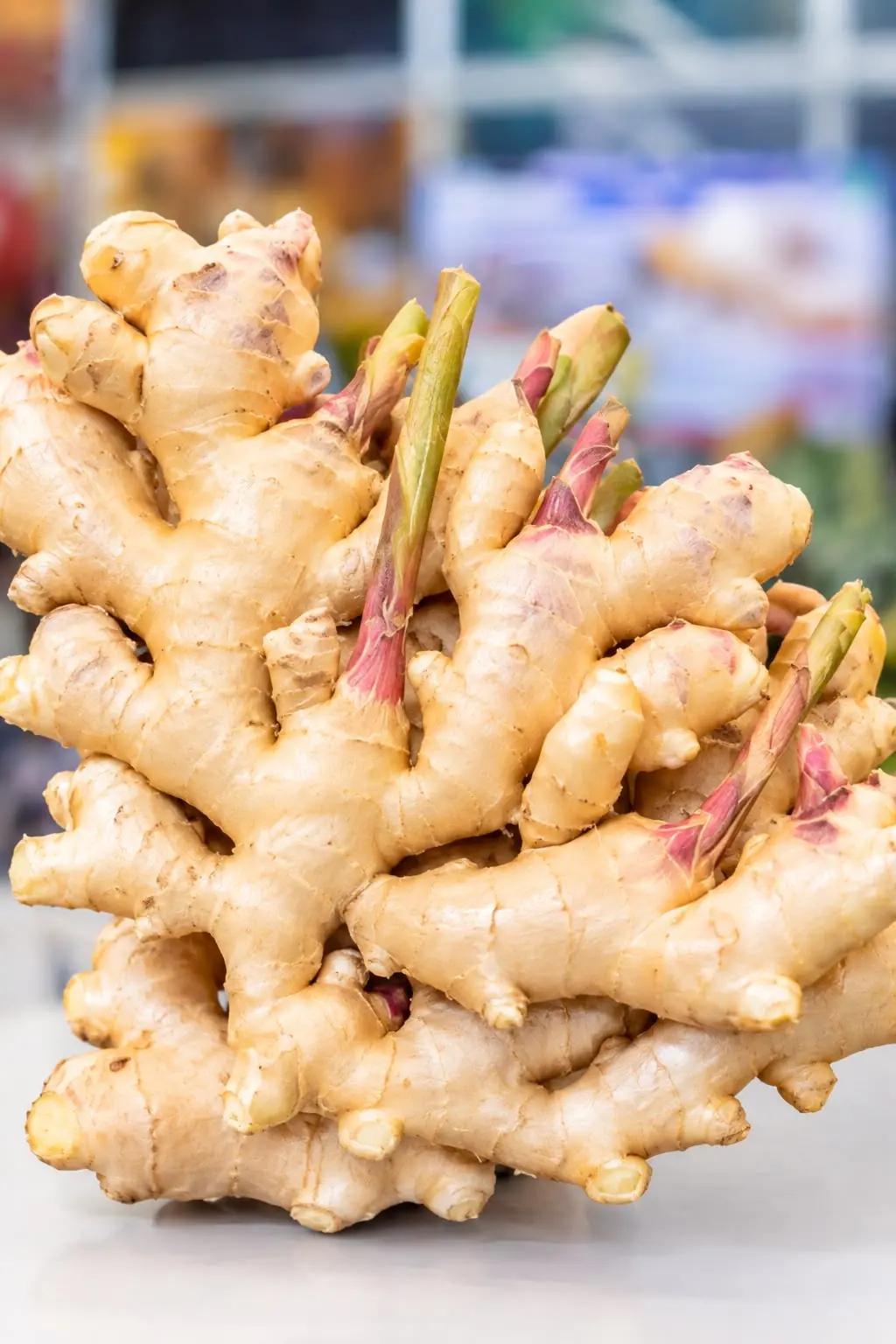 Rizoma de gengibre em primeiro plano, com brotos e coloração dourada