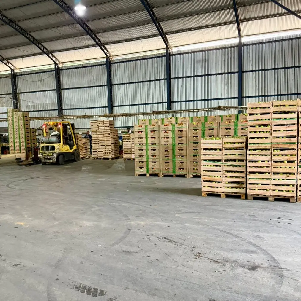 Frota da Agroplantec em processo de carregamento